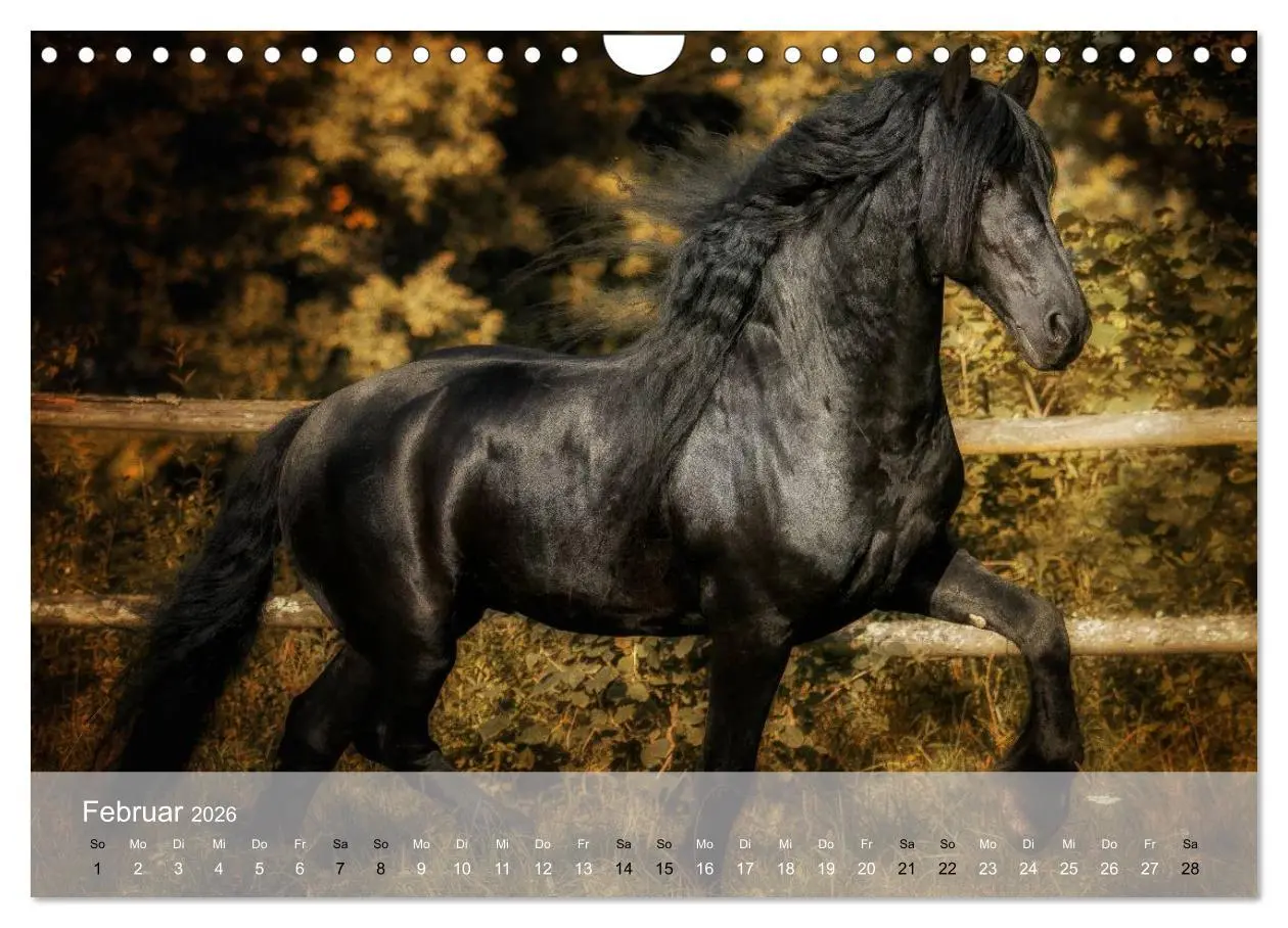 Bild: 9783516116663 | Pferde - Anmut und Stärke gepaart mit Magie (Wandkalender 2026 DIN...