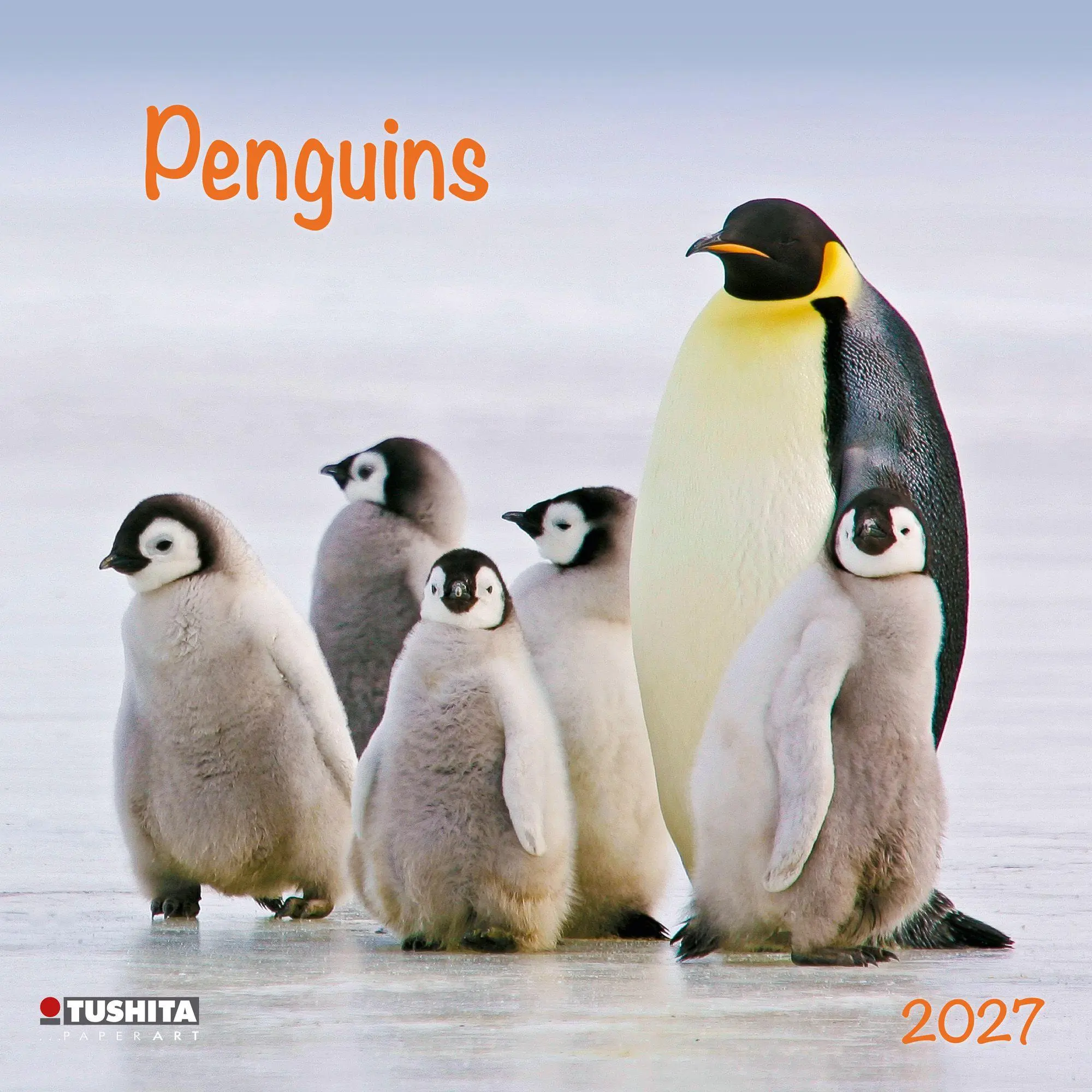 Cover: 9783959296663 | Penguins 2027 | Kalender 2027 | Kalender | 28 S. | Deutsch | 2027