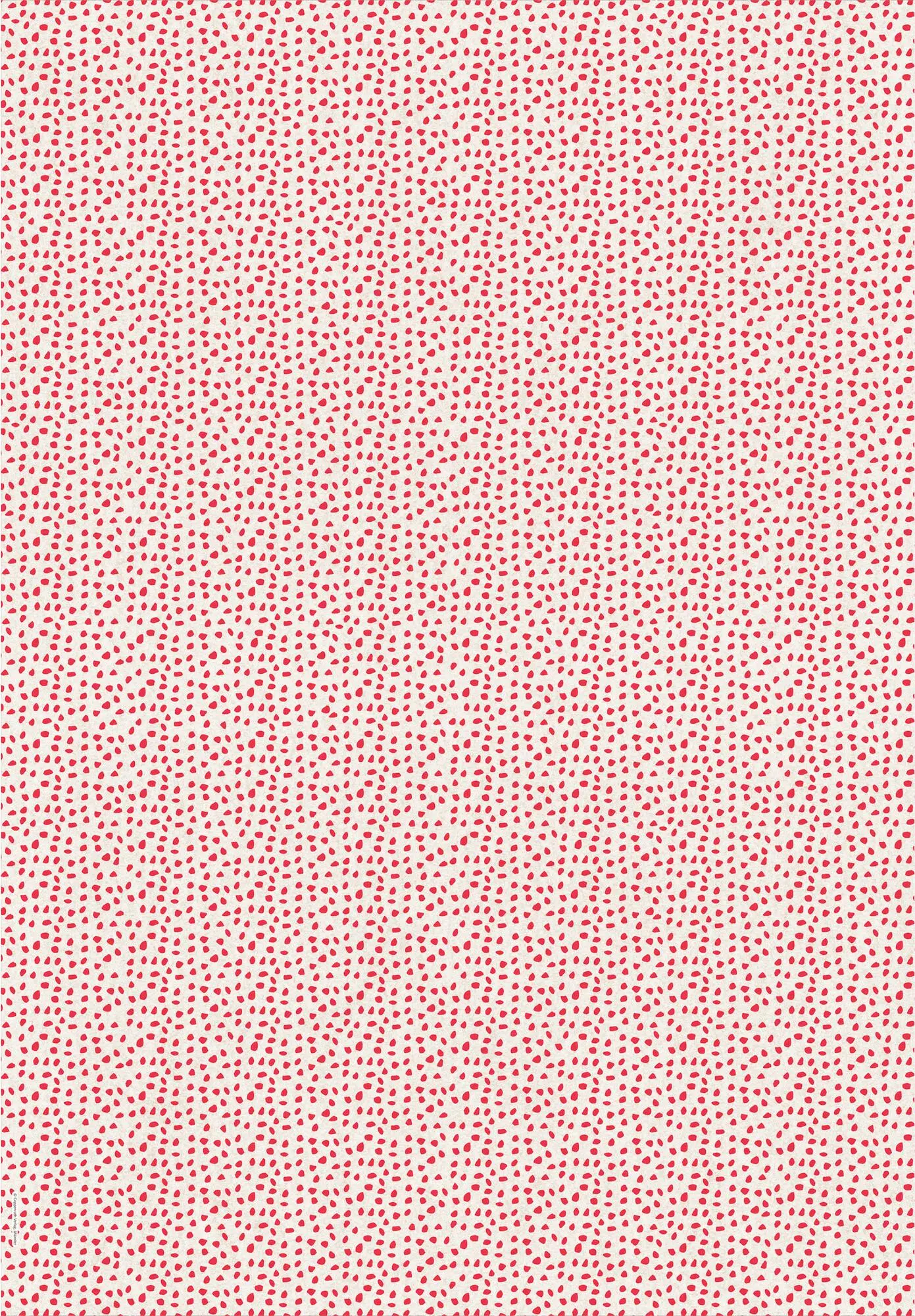 Bild: 4050003956763 | Geschenkpapier-Buch - Schöner Schenken | Taschenbuch | 10 S. | Deutsch