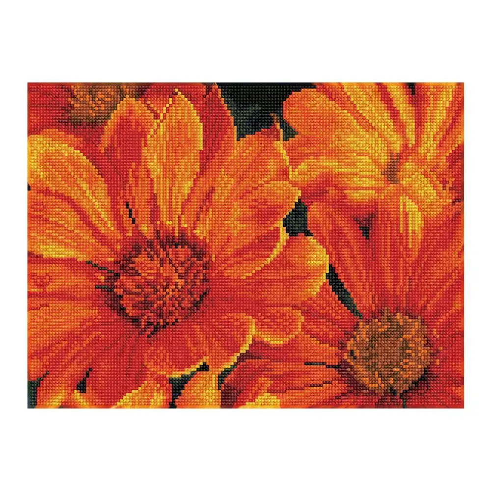 Cover: 4895225926763 | DIAMOND DOTZ - Diamond Painting Mittagsblume | Kit (Bastelset) | 2024