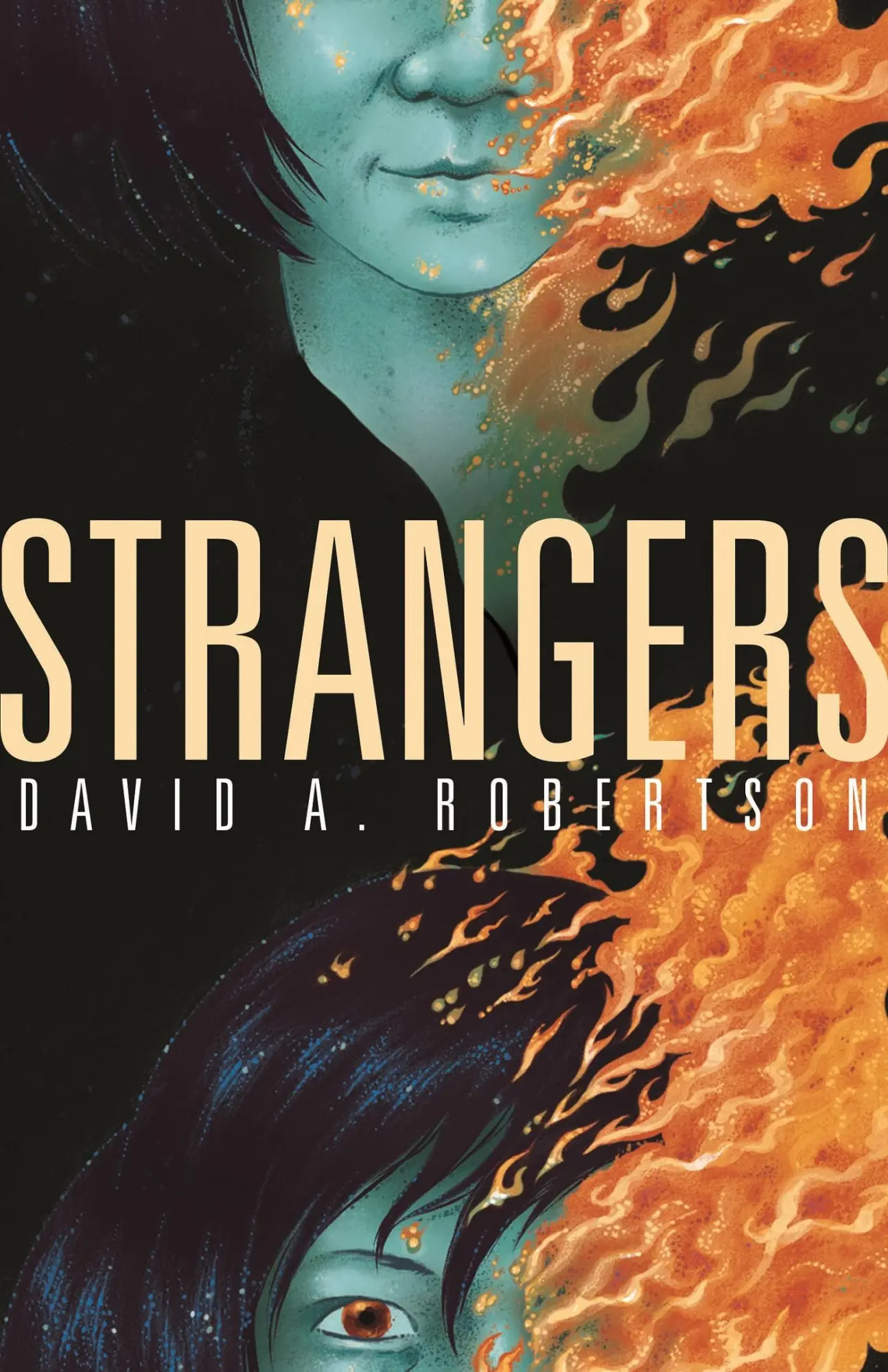 Cover: 9781553796763 | Strangers | David A Robertson | Taschenbuch | Kartoniert / Broschiert
