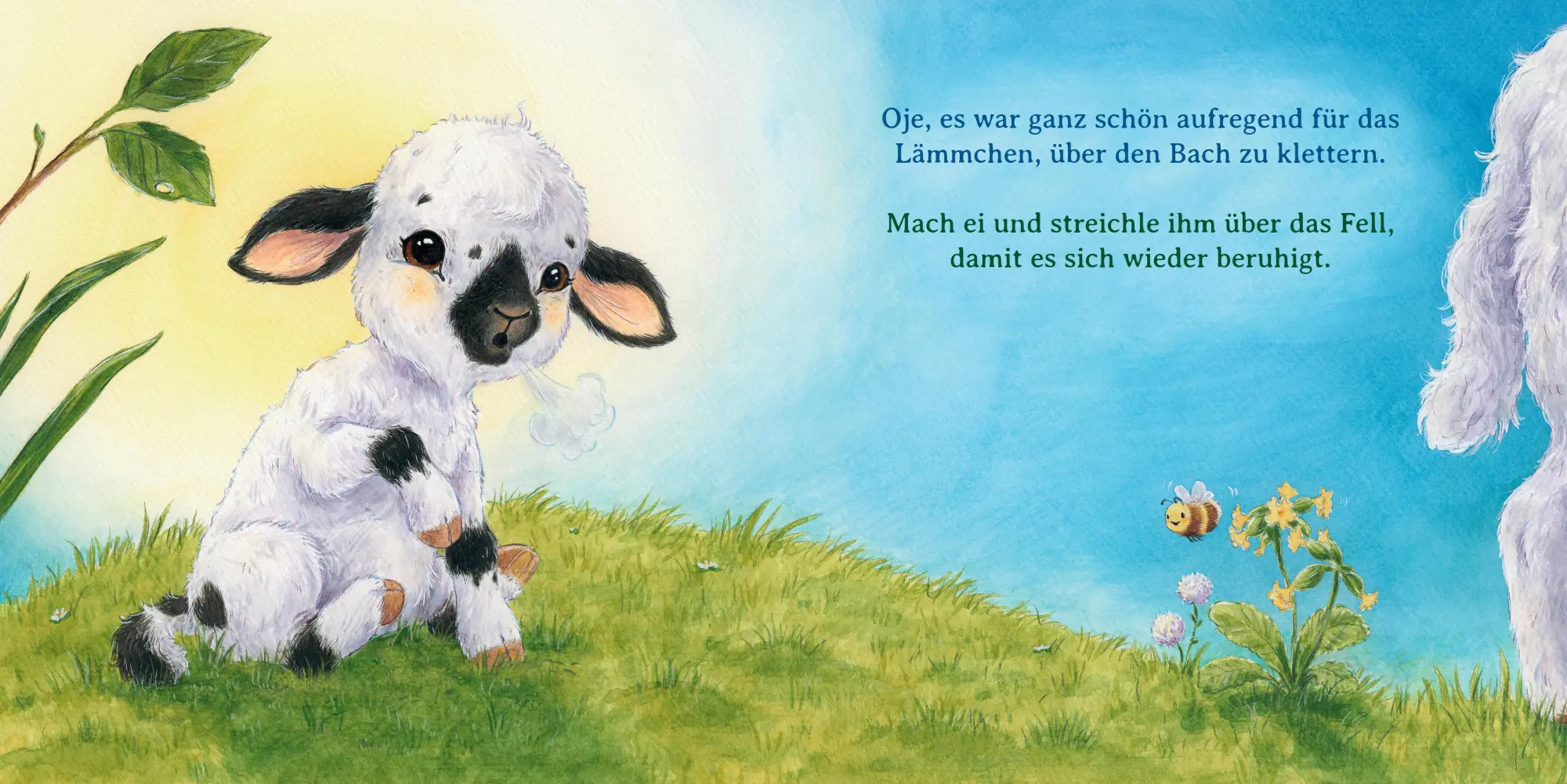 Bild: 9783414826763 | Einmal ganz doll knuddeln | Sophie Schoenwald | Buch | 26 S. | Deutsch