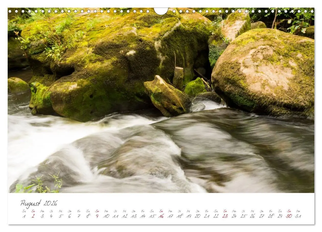 Bild: 9783516036763 | Erlebnis Eifel (Wandkalender 2026 DIN A3 quer), CALVENDO...