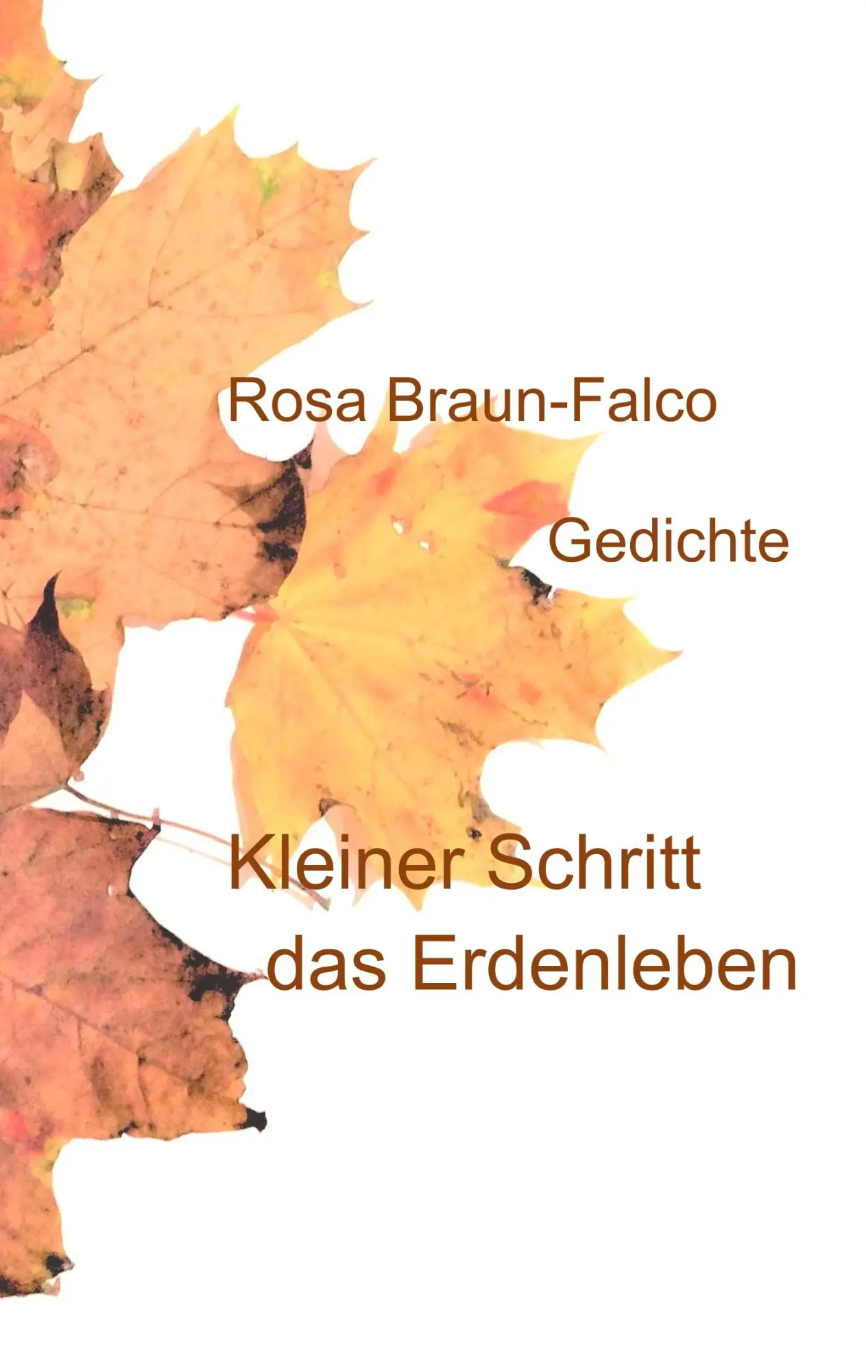 Cover: 9783752896763 | Kleiner Schritt das Erdenleben | Gedichte | Rosa Braun-Falco | Buch
