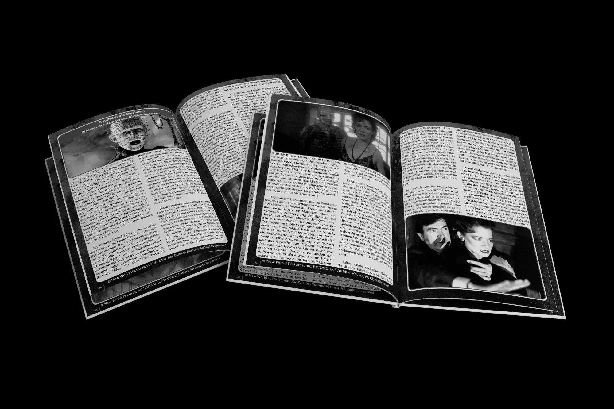 Bild: 9783985786763 | Hellraiser - Die Philosophie des Schmerzes (Budget Edition Movies...