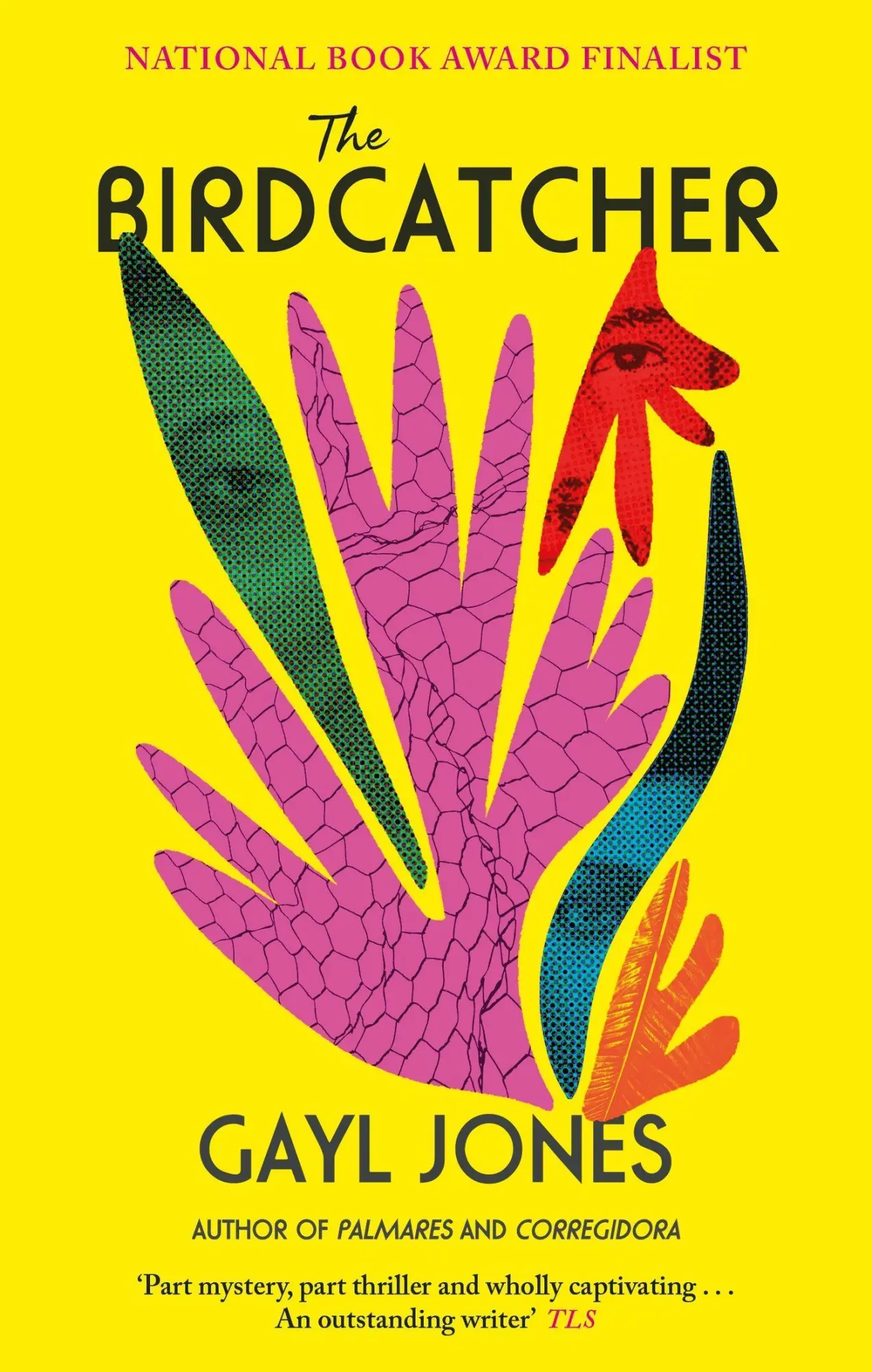 Cover: 9780349016863 | The Birdcatcher | FINALIST FOR THE 2022 NATIONAL BOOK AWARD | Jones
