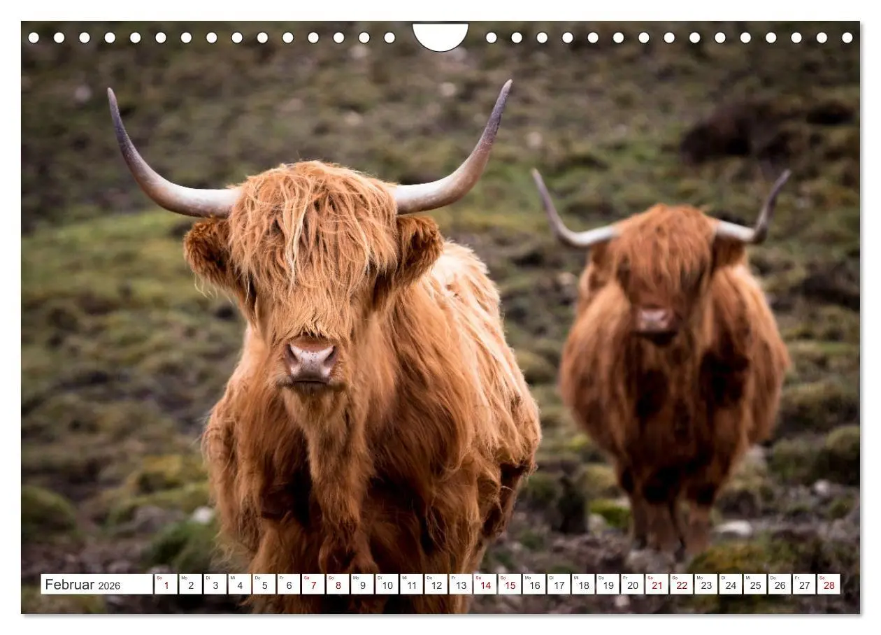 Bild: 9783457626863 | Isle of Skye - Eine Reise durch den Nordwesten Schottlands...