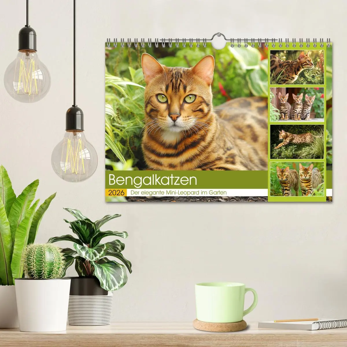 Bild: 9783516026863 | Bengalkatzen. Der elegante Mini-Leopard im Garten (Wandkalender...