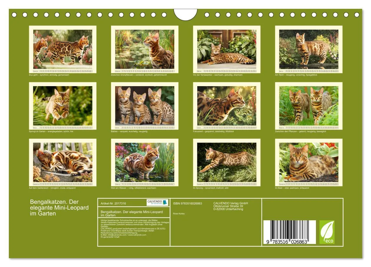 Bild: 9783516026863 | Bengalkatzen. Der elegante Mini-Leopard im Garten (Wandkalender...