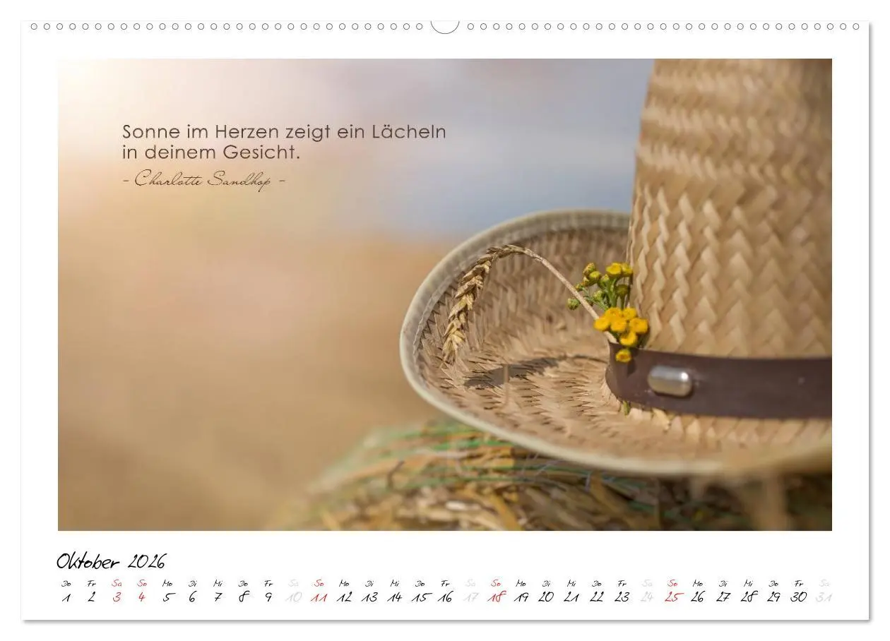 Bild: 9783516016963 | Mit guten Gedanken durch das Jahr (Wandkalender 2026 DIN A2 quer),...