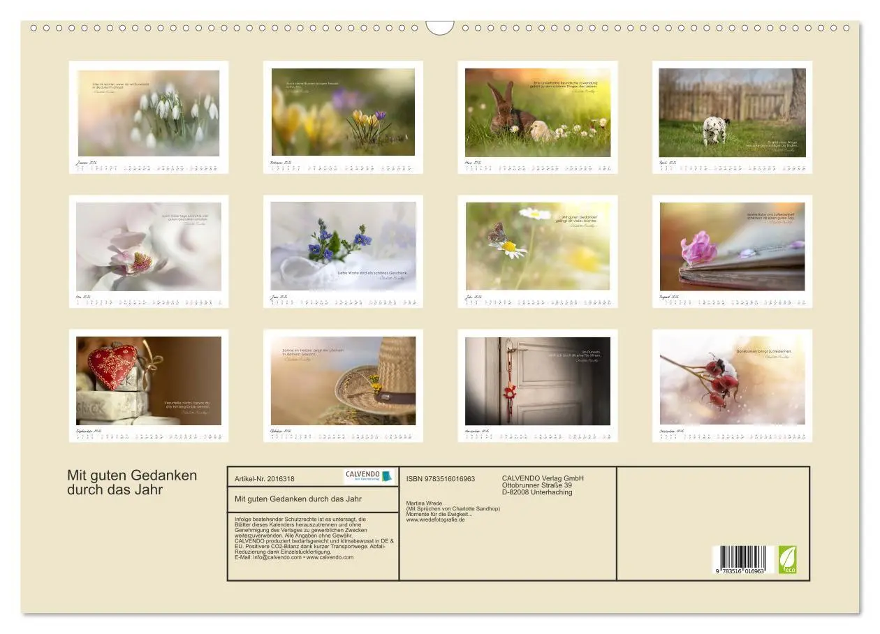 Bild: 9783516016963 | Mit guten Gedanken durch das Jahr (Wandkalender 2026 DIN A2 quer),...