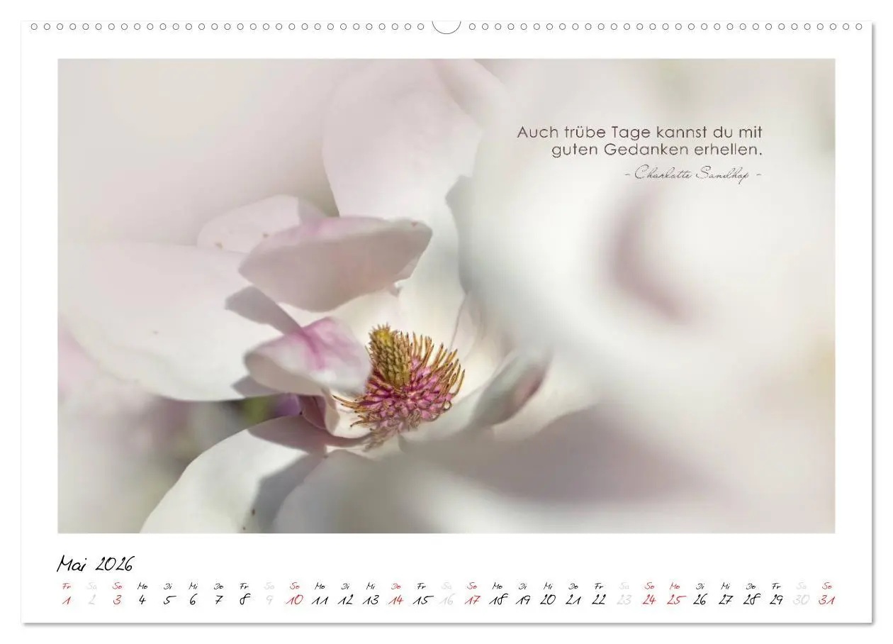Bild: 9783516016963 | Mit guten Gedanken durch das Jahr (Wandkalender 2026 DIN A2 quer),...