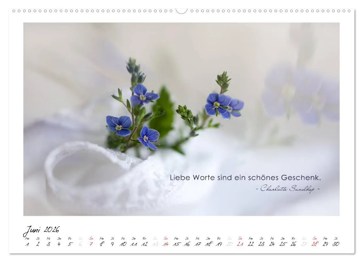 Bild: 9783516016963 | Mit guten Gedanken durch das Jahr (Wandkalender 2026 DIN A2 quer),...