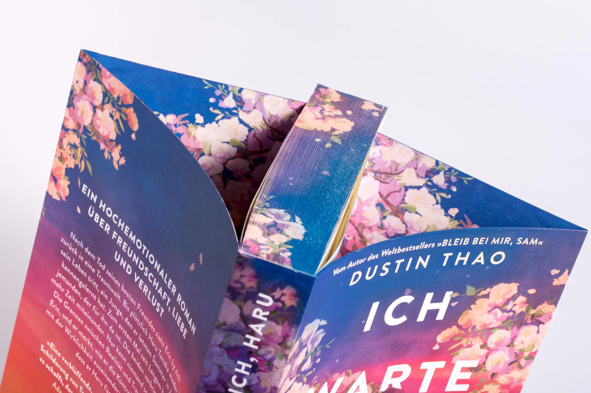 Bild: 9783570166963 | Ich warte auf dich, Haru | Dustin Thao | Buch | 352 S. | Deutsch | cbj