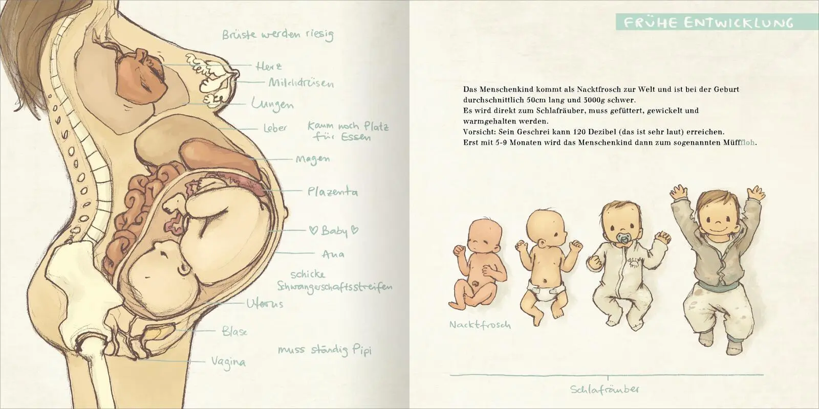Bild: 9783845866963 | Der MüffFloh | Joëlle Tourlonias | Buch | 32 S. | Deutsch | 2025