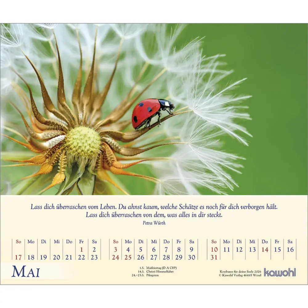 Bild: 9783754817063 | Kostbares für deine Seele 2026 | Balsam-Postkarten-Kalender | Kalender