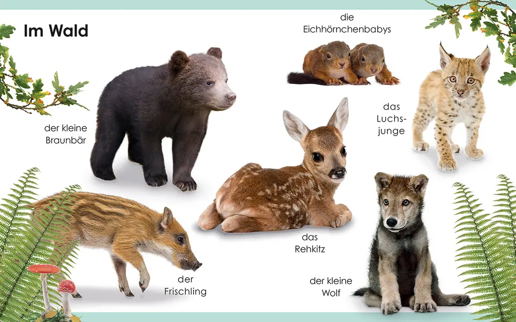 Bild: 9783831037063 | Erstes Lernen mini - Tierkinder | Bildwörterbuch | DK Verlag - Kids