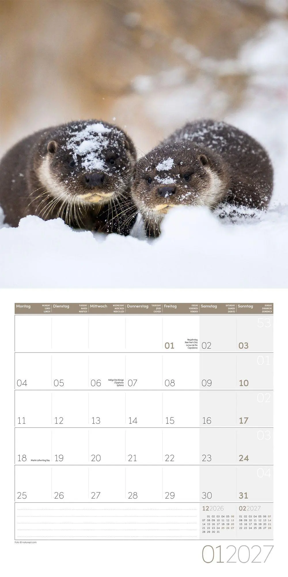 Bild: 9783838447063 | Otter Kalender 2027 - 30x30 - Art12 | Ackermann Kunstverlag GmbH