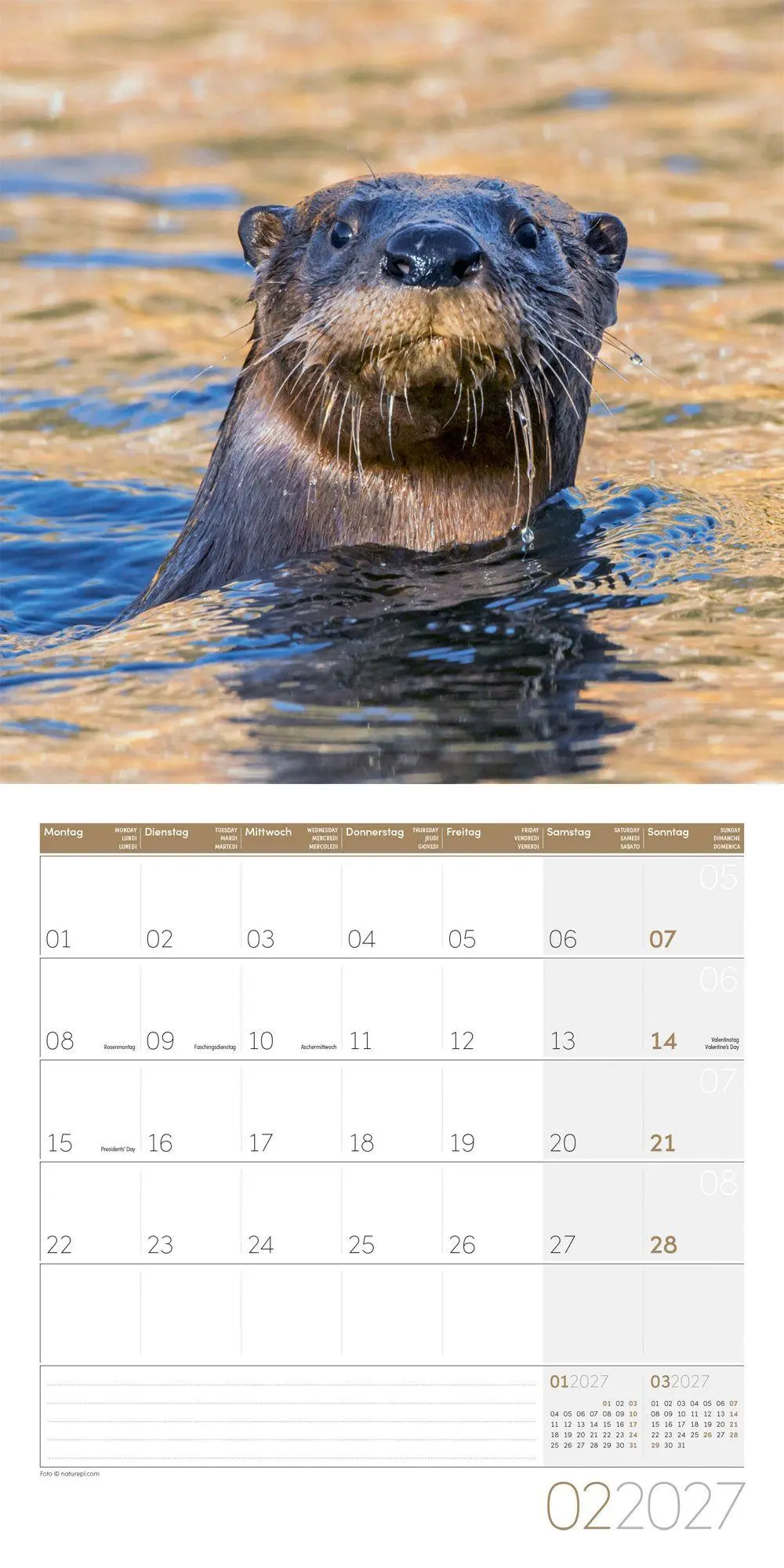Bild: 9783838447063 | Otter Kalender 2027 - 30x30 - Art12 | Ackermann Kunstverlag GmbH