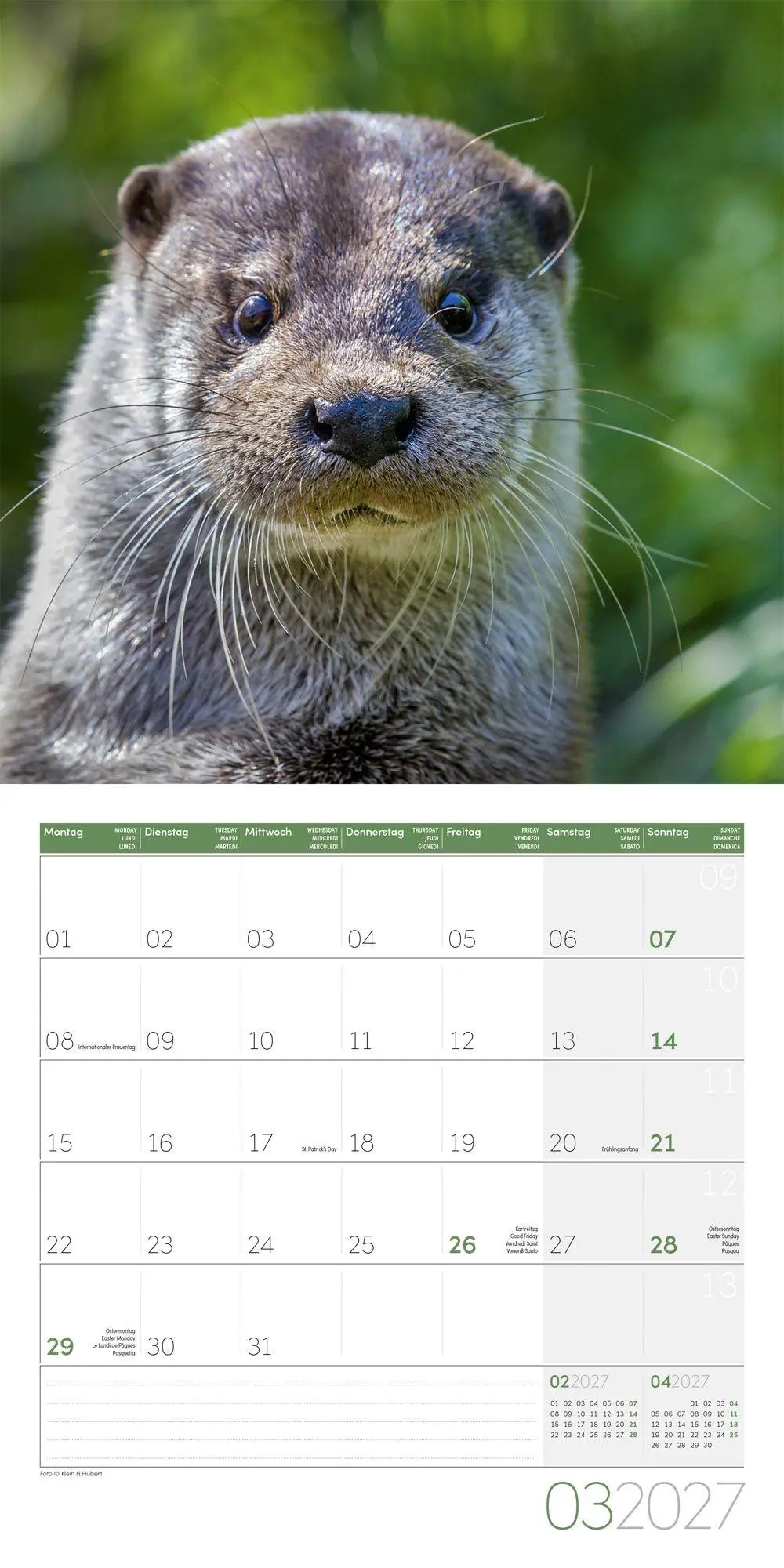 Bild: 9783838447063 | Otter Kalender 2027 - 30x30 - Art12 | Ackermann Kunstverlag GmbH