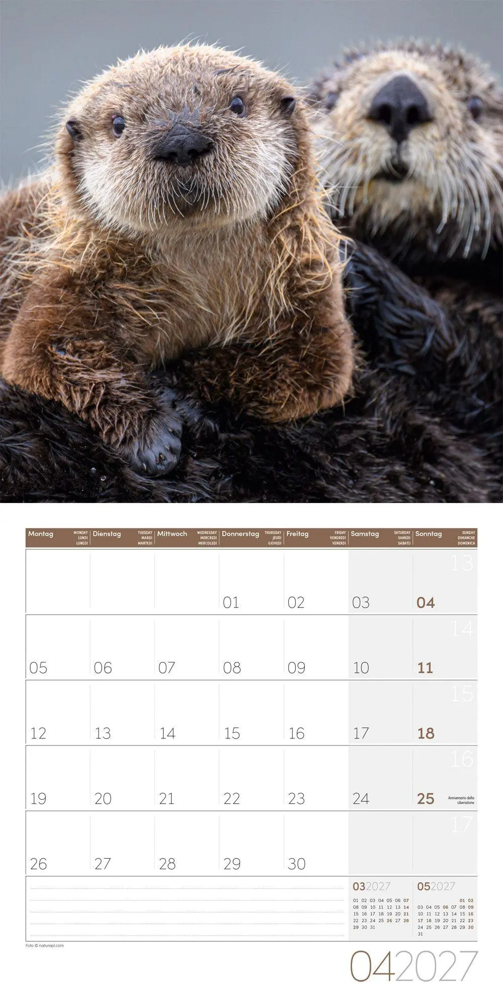 Bild: 9783838447063 | Otter Kalender 2027 - 30x30 - Art12 | Ackermann Kunstverlag GmbH