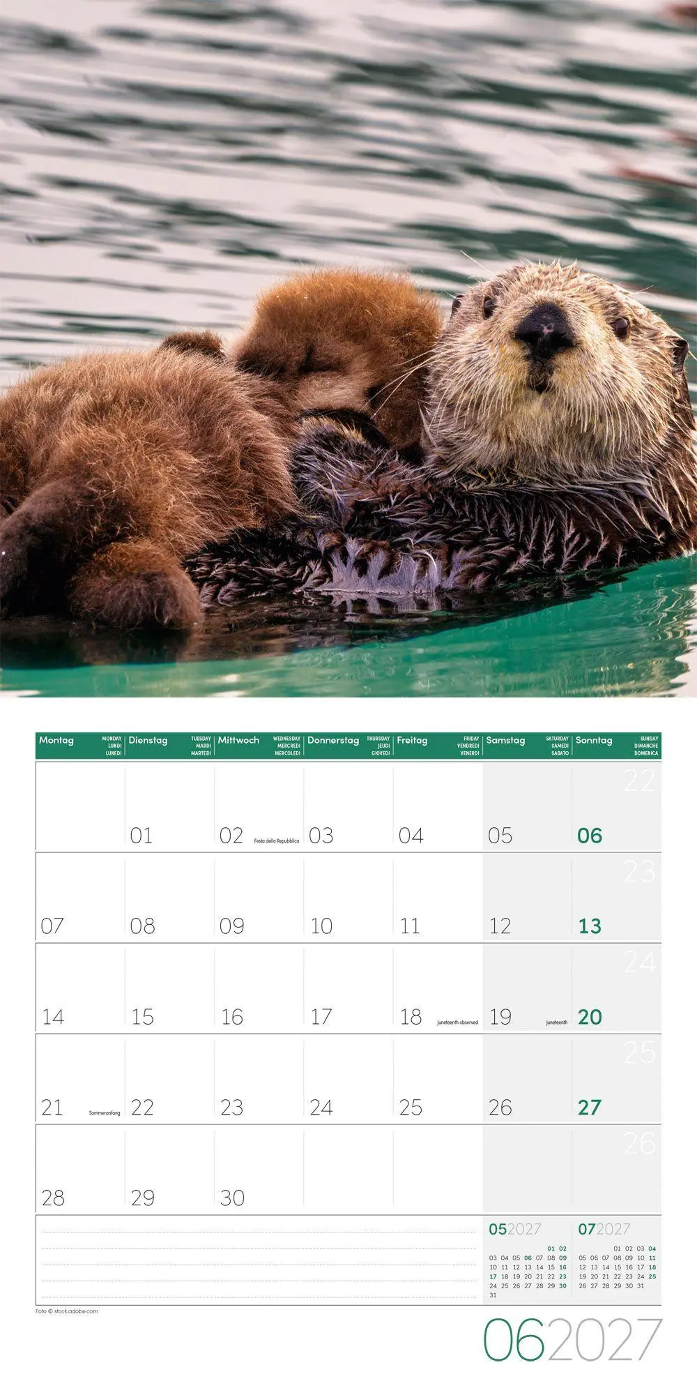 Bild: 9783838447063 | Otter Kalender 2027 - 30x30 - Art12 | Ackermann Kunstverlag GmbH