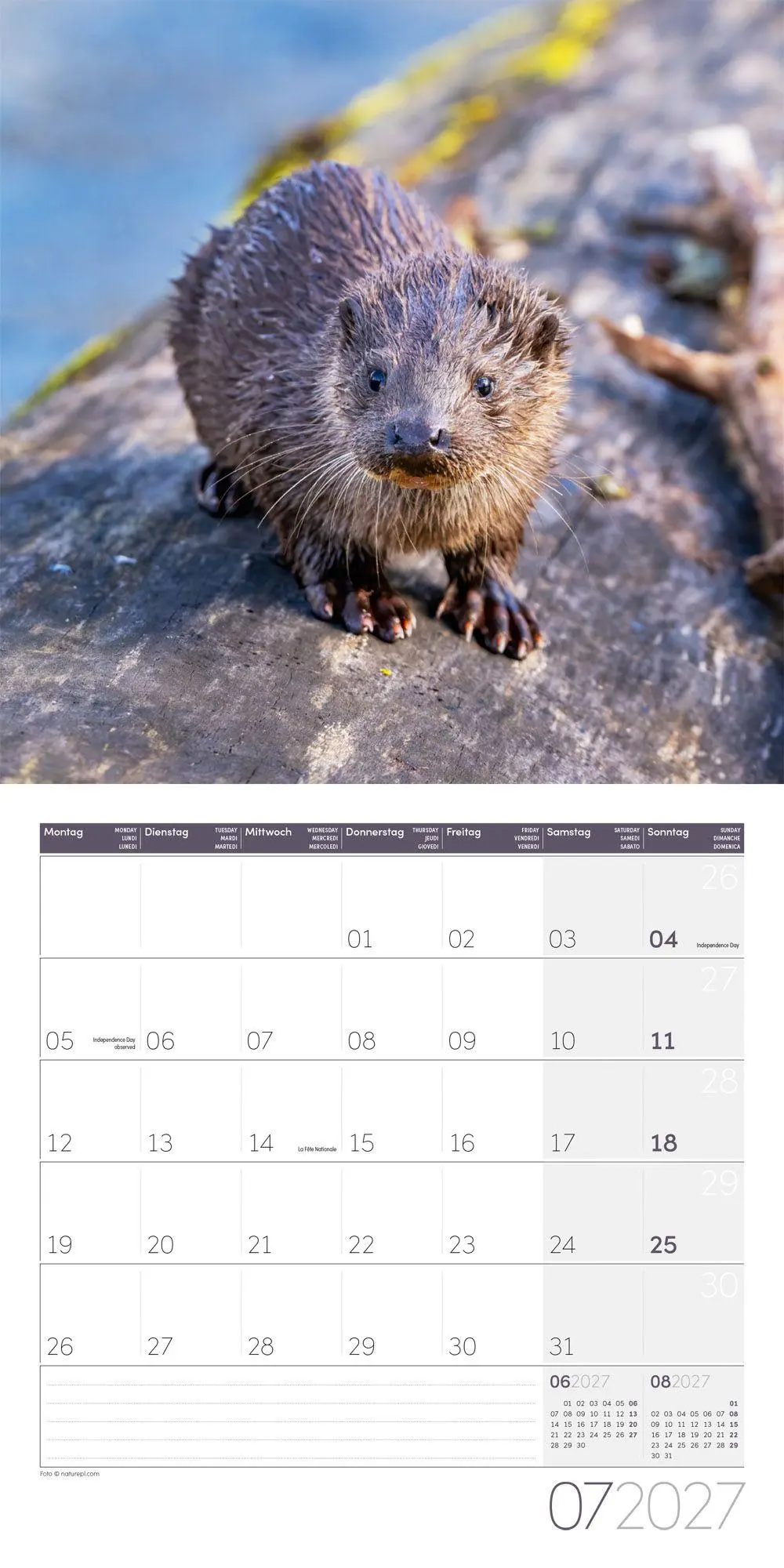Bild: 9783838447063 | Otter Kalender 2027 - 30x30 - Art12 | Ackermann Kunstverlag GmbH