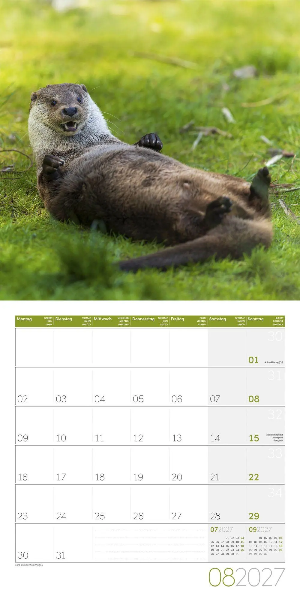 Bild: 9783838447063 | Otter Kalender 2027 - 30x30 - Art12 | Ackermann Kunstverlag GmbH