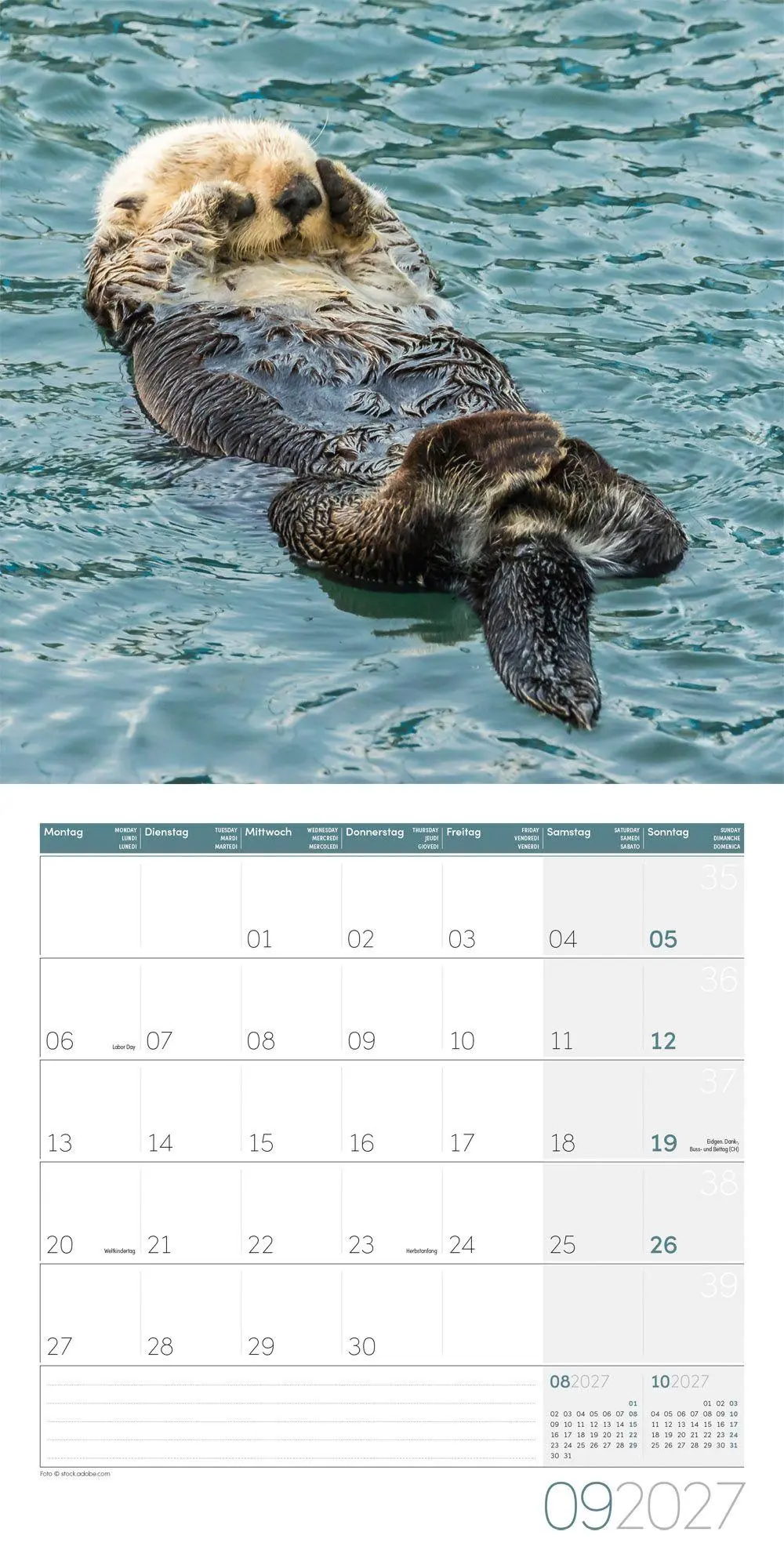 Bild: 9783838447063 | Otter Kalender 2027 - 30x30 - Art12 | Ackermann Kunstverlag GmbH