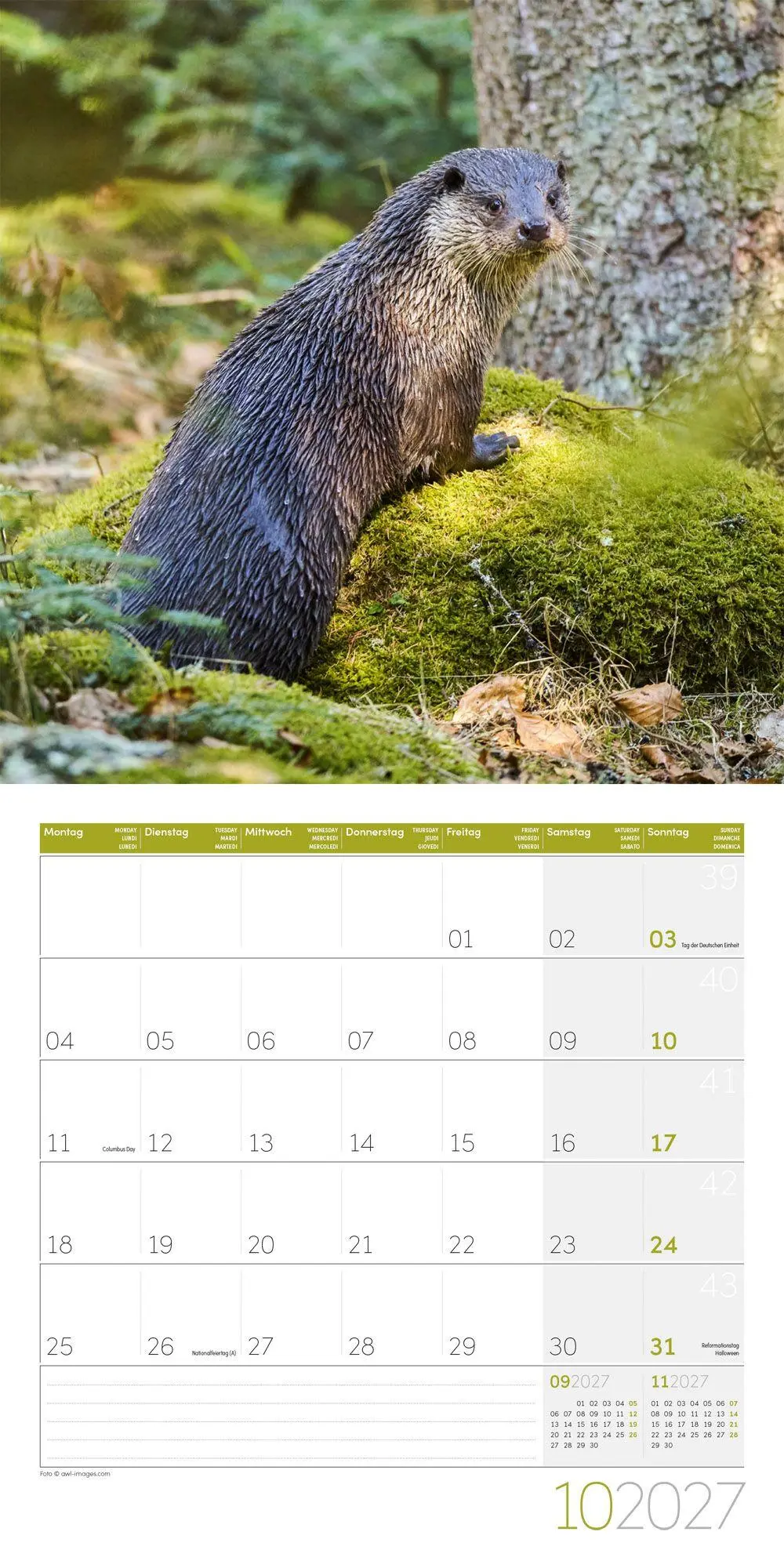 Bild: 9783838447063 | Otter Kalender 2027 - 30x30 - Art12 | Ackermann Kunstverlag GmbH