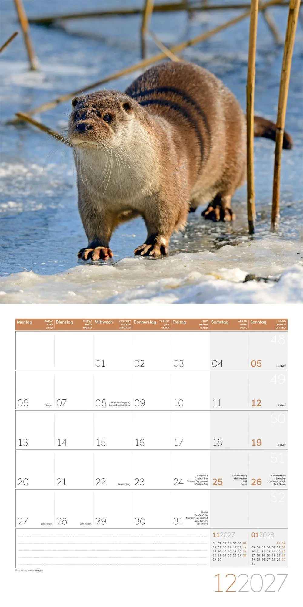 Bild: 9783838447063 | Otter Kalender 2027 - 30x30 - Art12 | Ackermann Kunstverlag GmbH