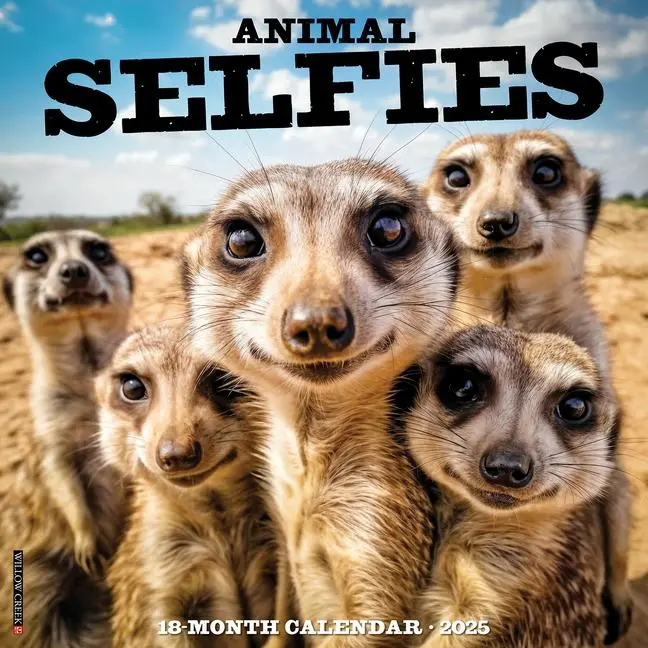 Cover: 9781549247163 | Animal Selfies 2025 12 X 12 Wall Calendar | Willow Creek Press | 2025