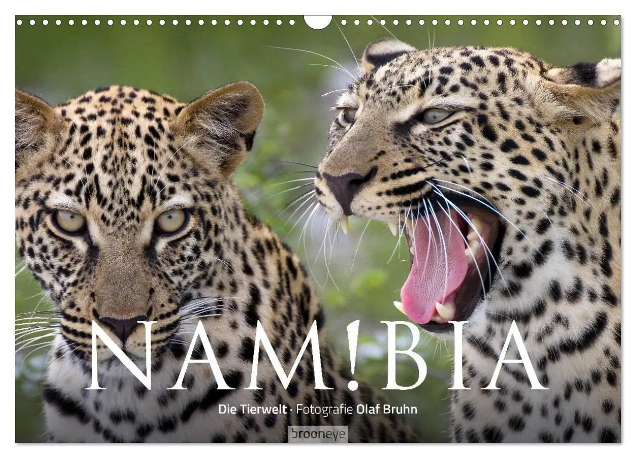 Cover: 9783516137163 | Namibia - Die Tierwelt (Wandkalender 2026 DIN A3 quer), CALVENDO...