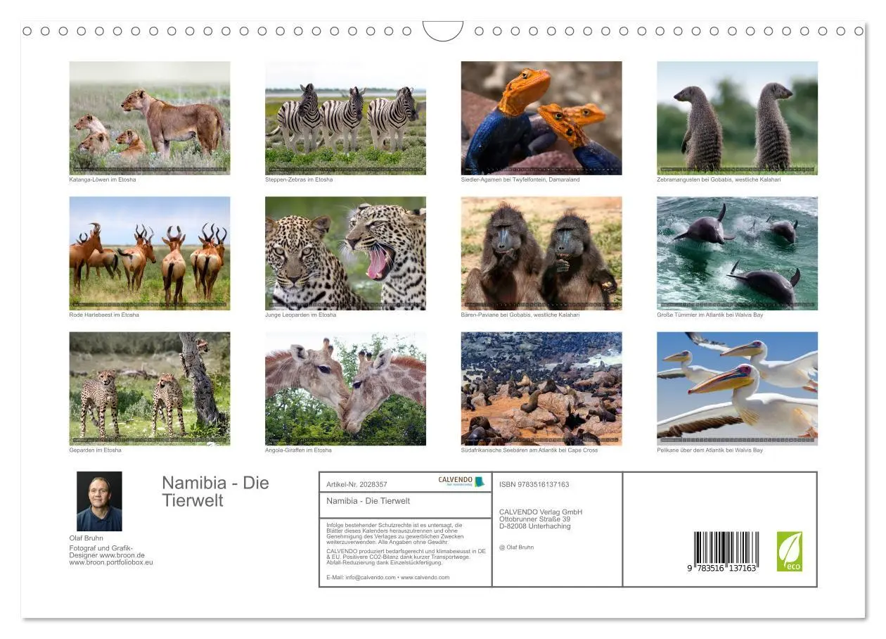 Bild: 9783516137163 | Namibia - Die Tierwelt (Wandkalender 2026 DIN A3 quer), CALVENDO...