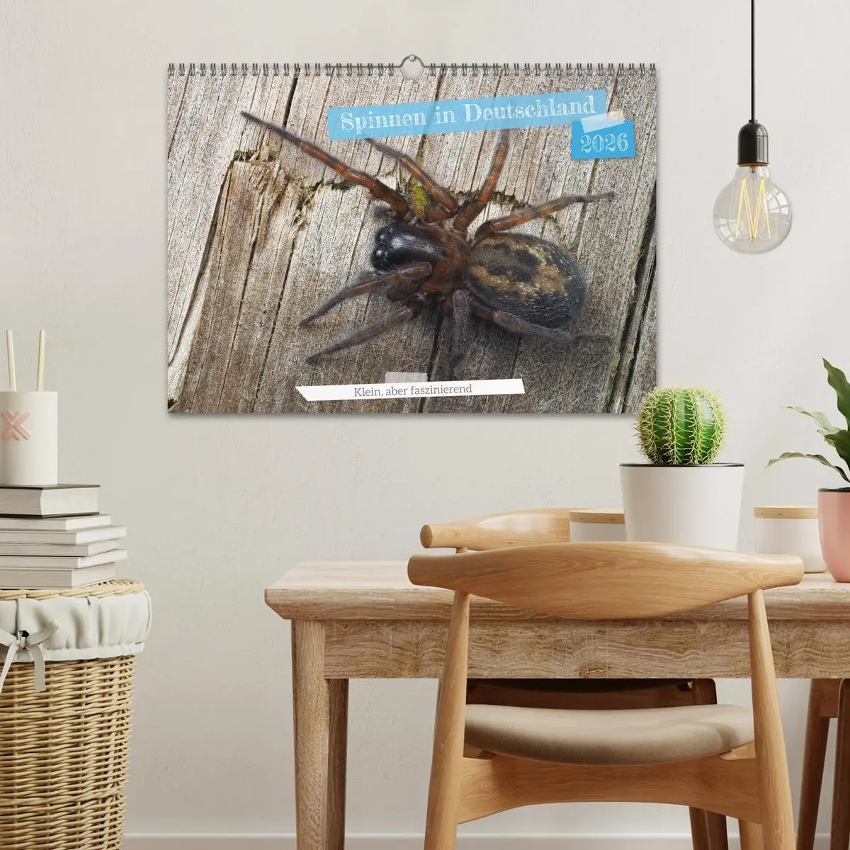 Bild: 9783457347263 | Spinnen in Deutschland (Wandkalender 2026 DIN A3 quer), CALVENDO...