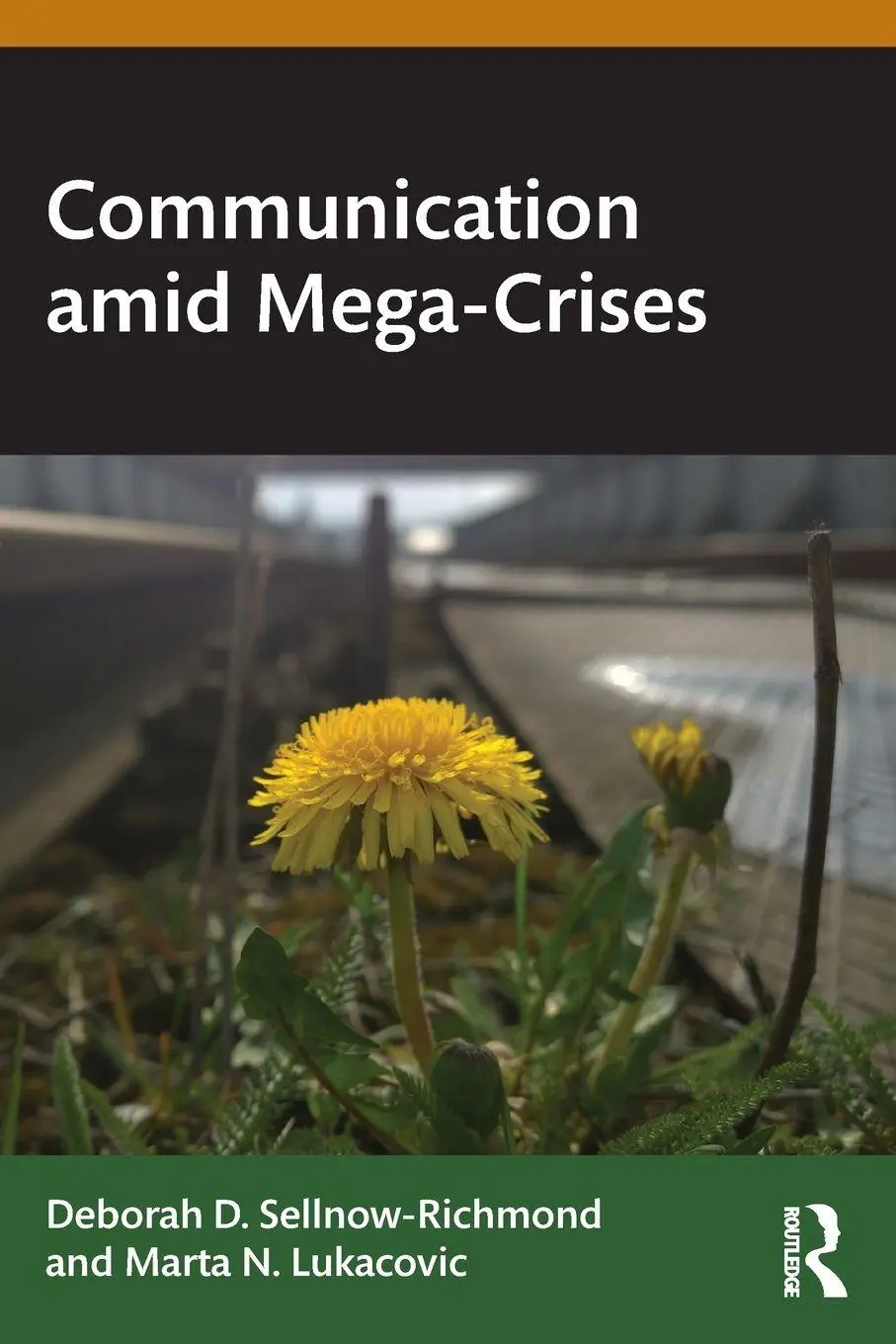 Cover: 9781041007463 | Communication amid Mega-Crises | Deborah Sellnow-Richmond (u. a.)