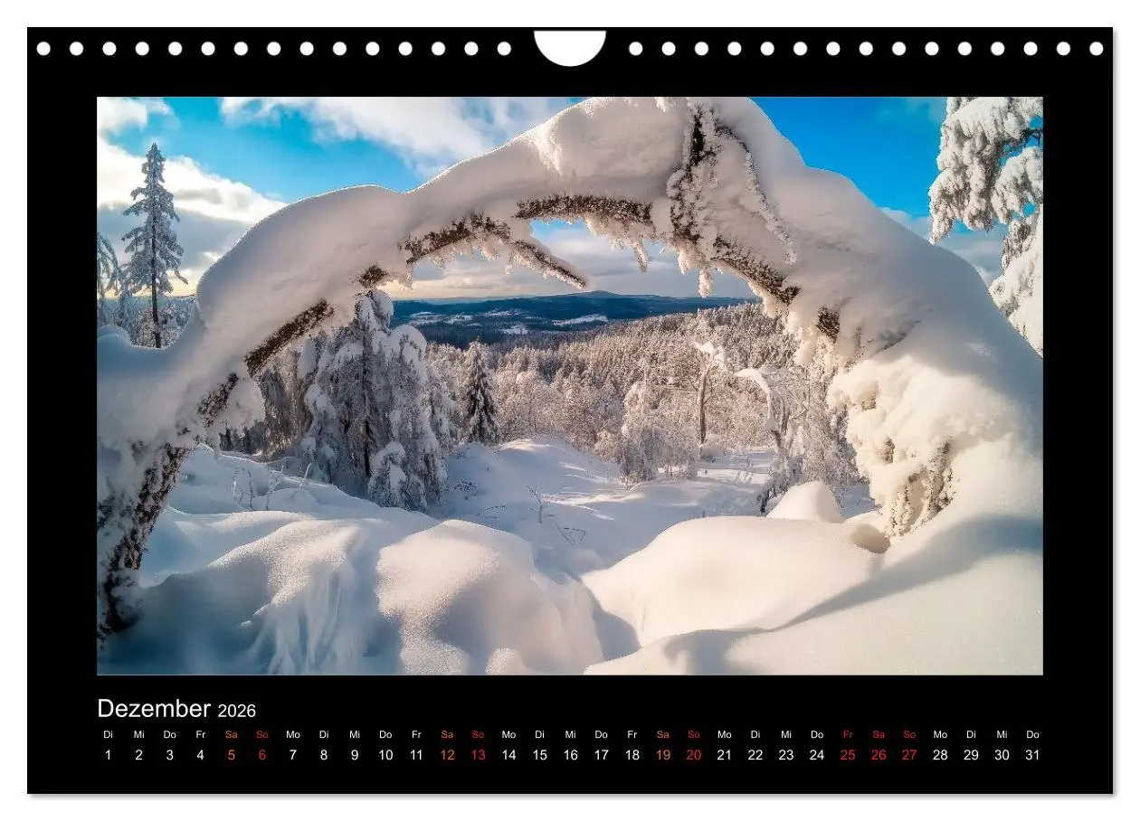 Bild: 9783457257463 | Geheimnisvolle Wildnis Deutschlands (Wandkalender 2026 DIN A4...