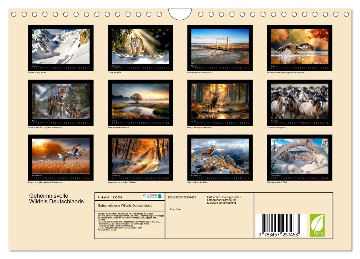 Bild: 9783457257463 | Geheimnisvolle Wildnis Deutschlands (Wandkalender 2026 DIN A4...