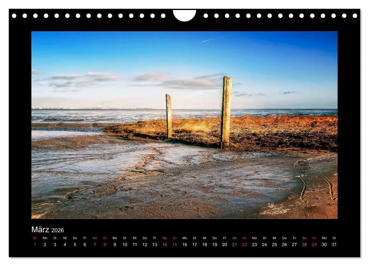 Bild: 9783457257463 | Geheimnisvolle Wildnis Deutschlands (Wandkalender 2026 DIN A4...