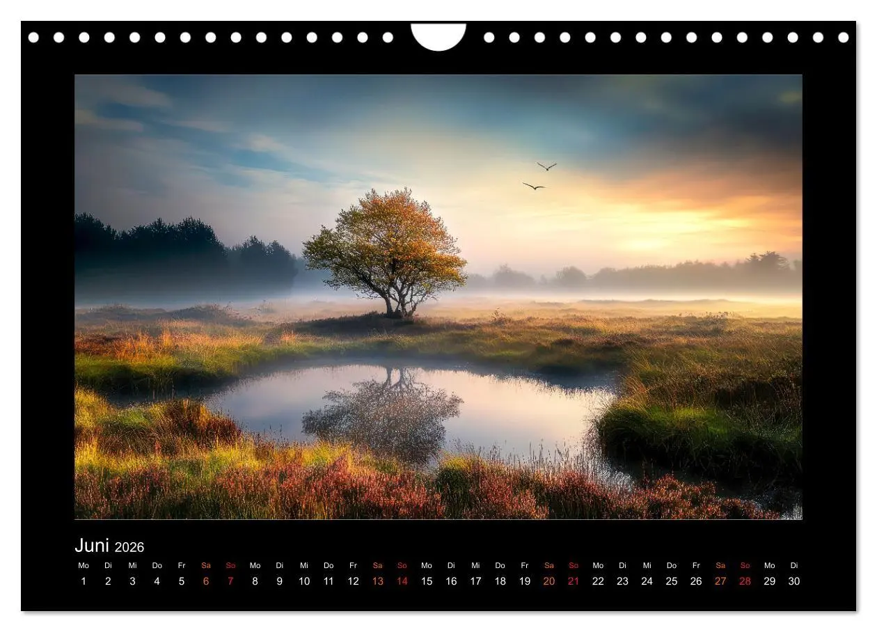 Bild: 9783457257463 | Geheimnisvolle Wildnis Deutschlands (Wandkalender 2026 DIN A4...