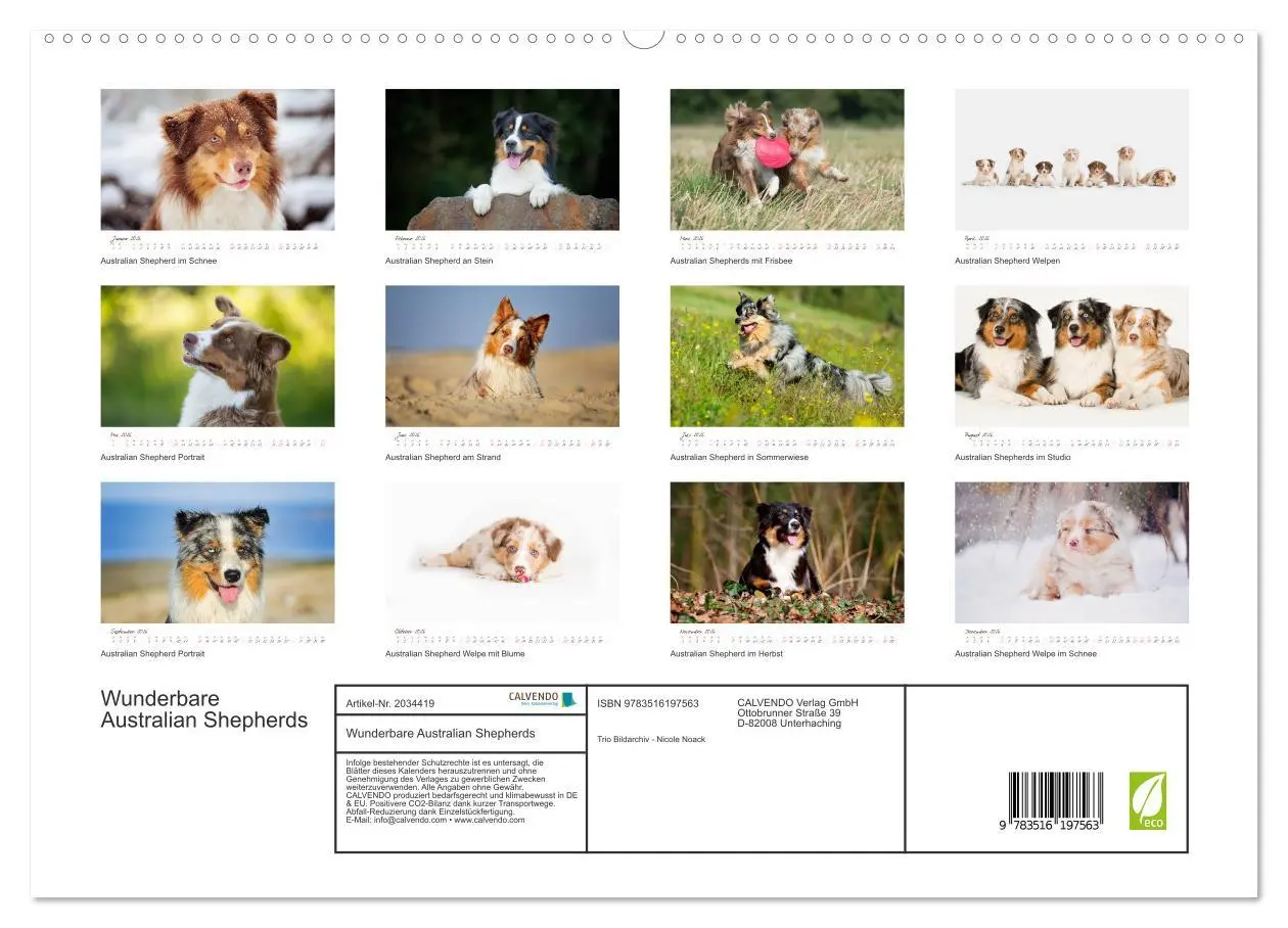 Bild: 9783516197563 | Wunderbare Australian Shepherds (hochwertiger Premium Wandkalender...