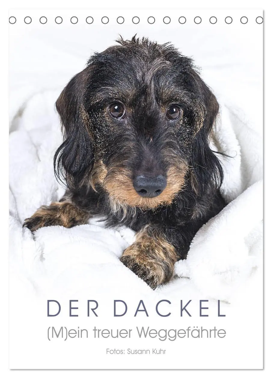 Cover: 9783516407563 | Der Dackel (M)ein treuer Weggefährte (Tischkalender 2026 DIN A5...