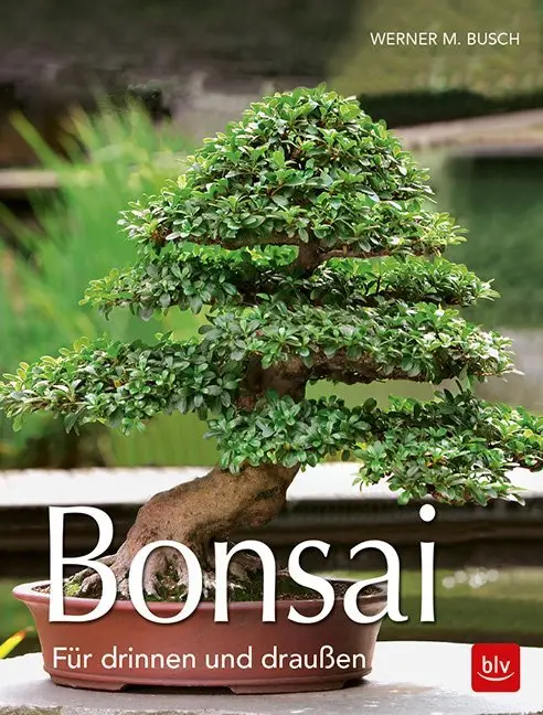 Cover: 9783835417663 | Bonsai | Für draußen und drinnen | Werner M. Busch | Taschenbuch
