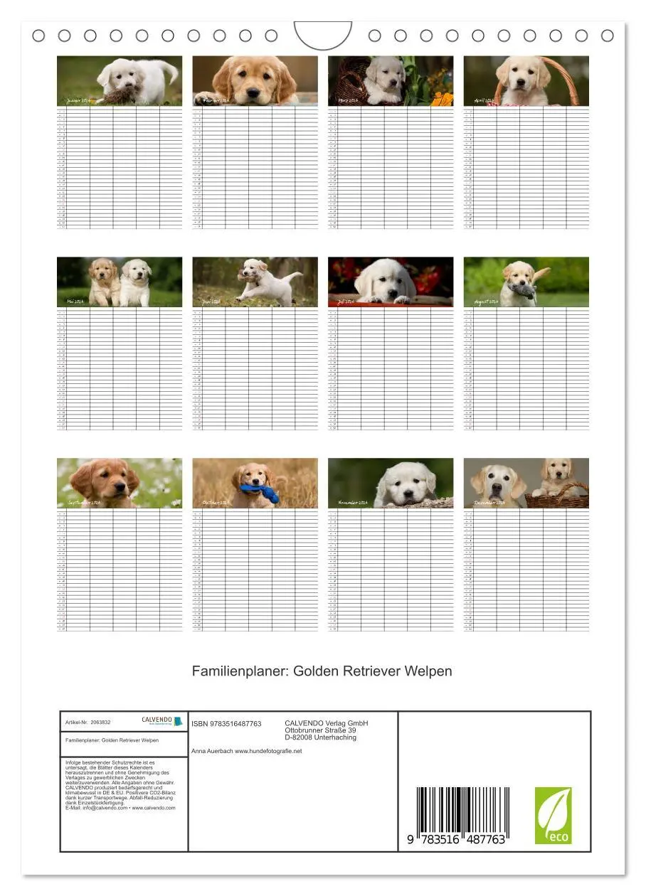 Bild: 9783516487763 | Familienplaner: Golden Retriever Welpen (Wandkalender 2026 DIN A4...