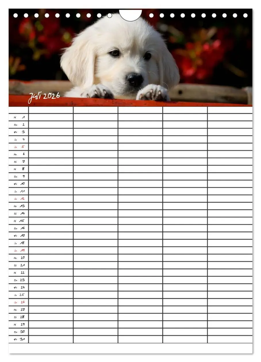 Bild: 9783516487763 | Familienplaner: Golden Retriever Welpen (Wandkalender 2026 DIN A4...