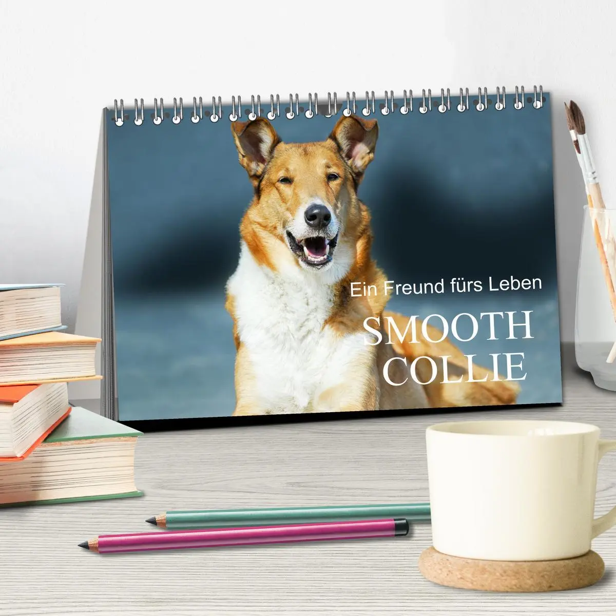 Bild: 9783457387863 | Ein Freund fürs Leben - Smooth Collie (Tischkalender 2026 DIN A5...