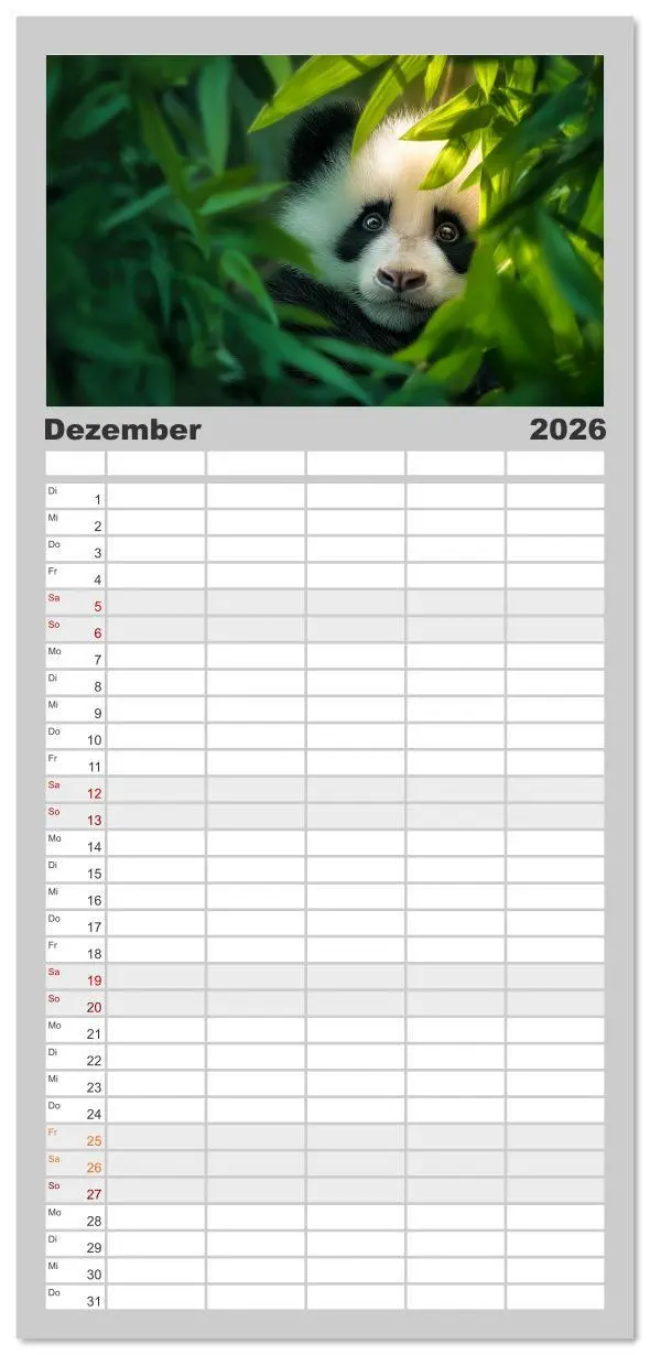 Bild: 9783516617863 | Familienplaner 2026 - Schwarz auf Weiß - Der Panda-Kalender mit 5...