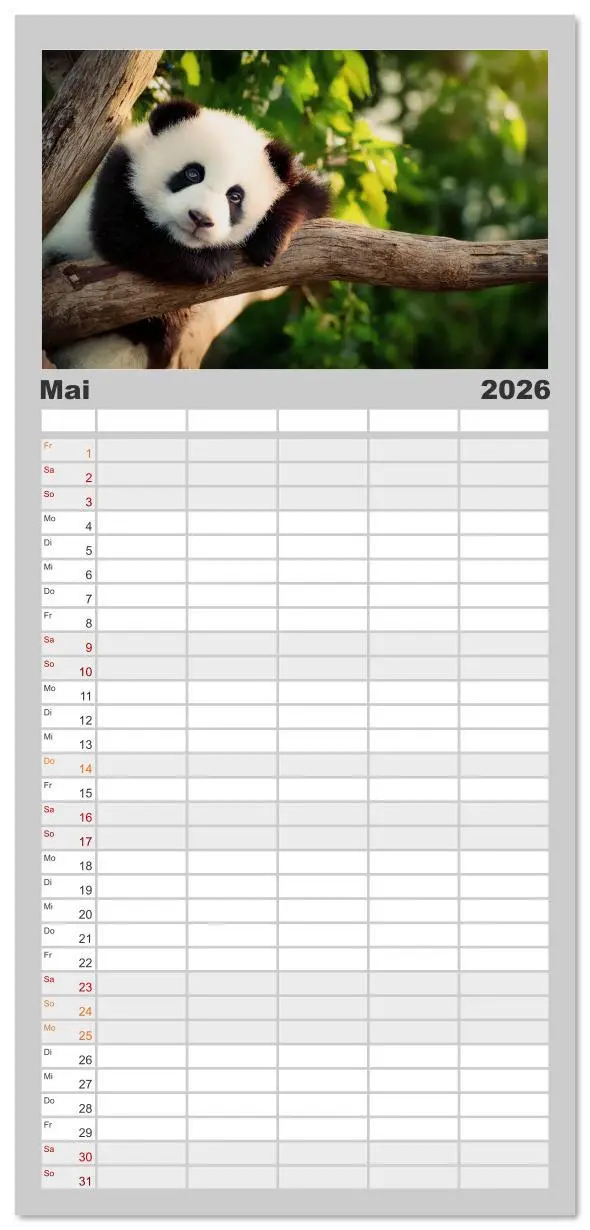 Bild: 9783516617863 | Familienplaner 2026 - Schwarz auf Weiß - Der Panda-Kalender mit 5...