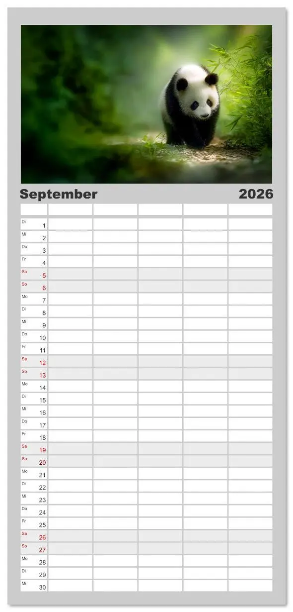 Bild: 9783516617863 | Familienplaner 2026 - Schwarz auf Weiß - Der Panda-Kalender mit 5...
