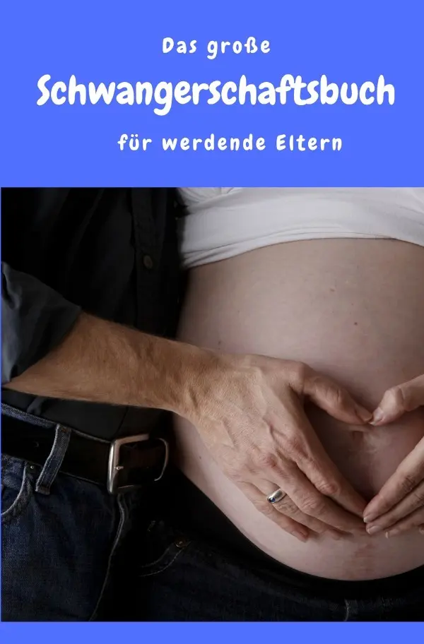 Cover: 9783745097863 | Das große Schwangerschaftsbuch für werdende Eltern | Madeleine Wilson